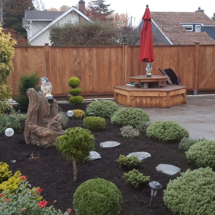 A well-maintained garden bed featuring neatly shaped shrubs and bushes, adding structure and greenery.